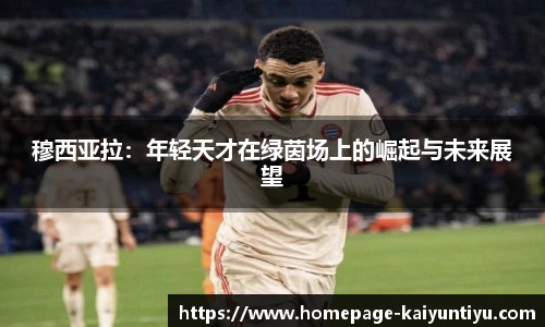 云开体育
