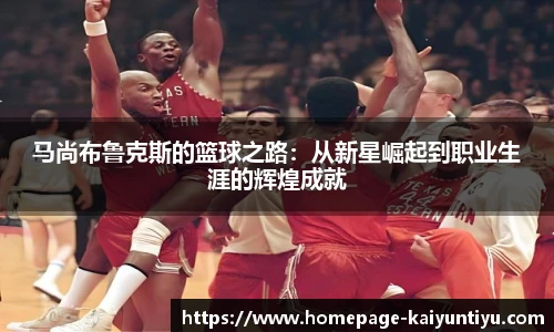 开云体育官网